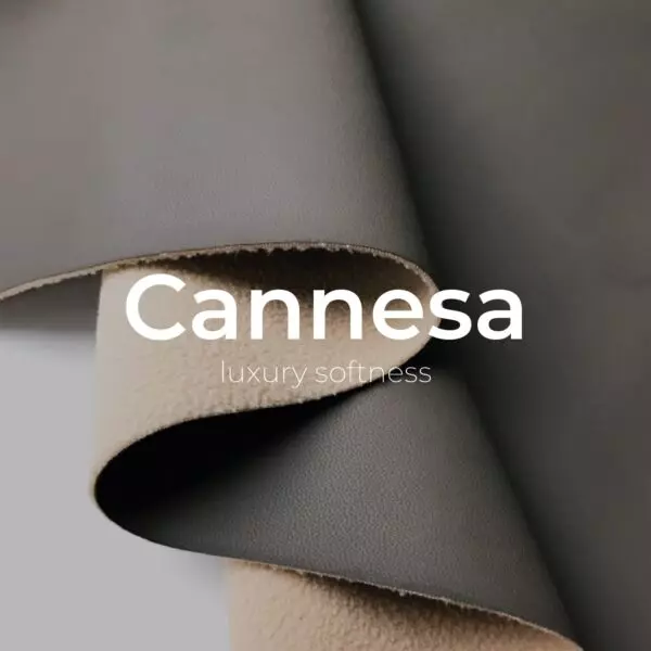 Cannesa