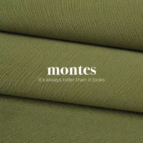 Montes